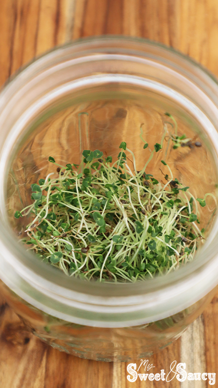 chia seeds inside a jar
