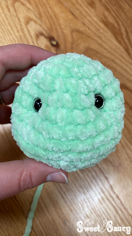 crochet turtle head