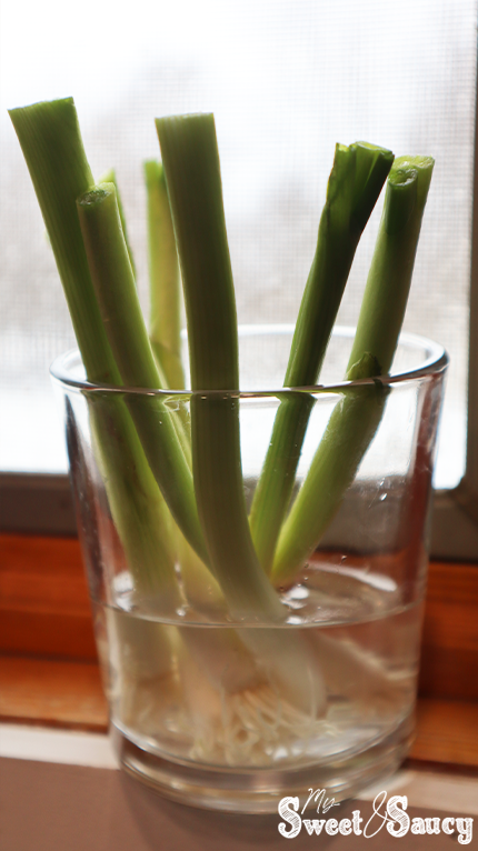 green onions in a glass