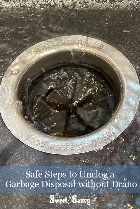 Safe Steps to Unclog a Garbage Disposal without Drano Pinterest