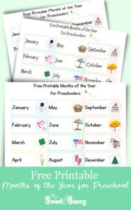 Free Printable Months of the Year for Preschool - My Sweet and Saucy