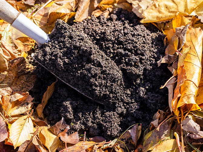compost pile with dirt and leaves