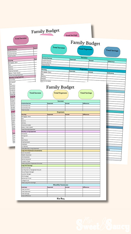 multi colored family budget